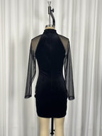 Elegant Long Sleeve Sheath Dress with High Neck and Mesh Overlay for Formal Evening Wear