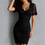 Sexy V-Neck Lace Sheer Bodycon Dress, Fashion Fitted Slimming