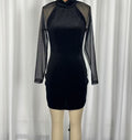 Elegant Long Sleeve Sheath Dress with High Neck and Mesh Overlay for Formal Evening Wear