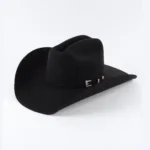 Elegant Louis Vuitton western cowboy hat with a structured crown, wide brim, and designer-inspired western aesthetic.