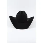 Luxury Louis Vuitton inspired cowboy hat featuring premium craftsmanship, western styling, and sophisticated fashion appeal.