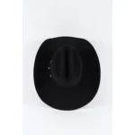 Fashion-forward Louis Vuitton cowboy hat combining classic western design with luxury-inspired details and modern style.