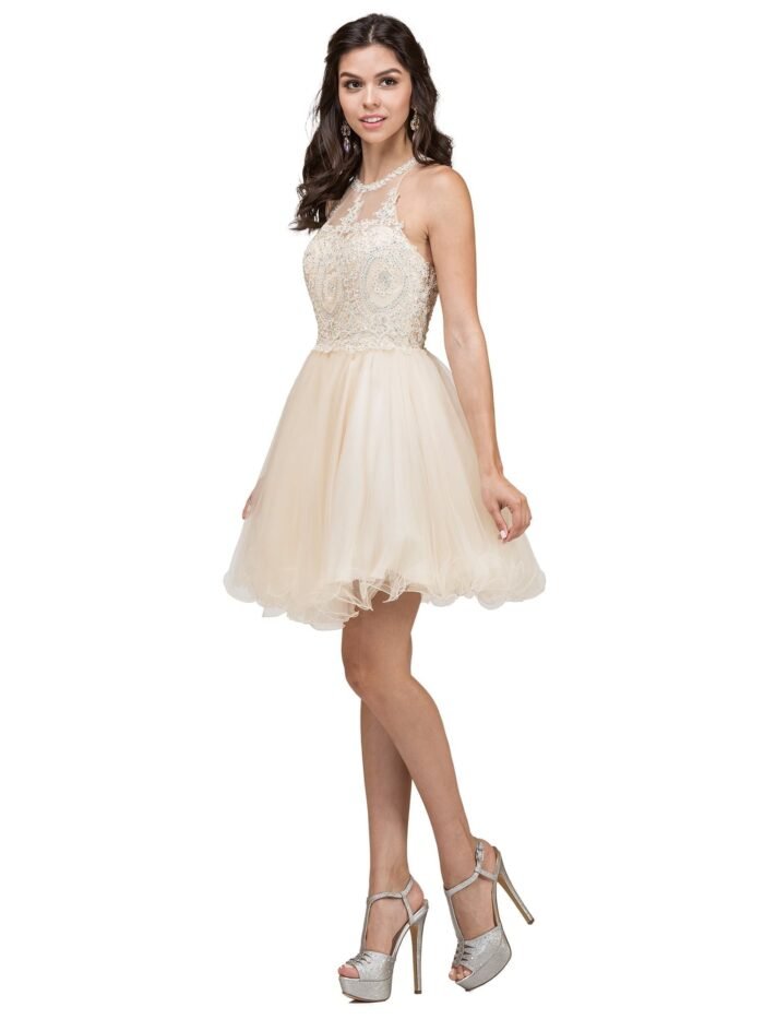 Frontier Blossom Tulle Party Dress in champagne