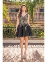 Golden Prairie Embroidered Party Dress in black gold