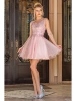 Meadowlark Lace Tulle Dress in blush