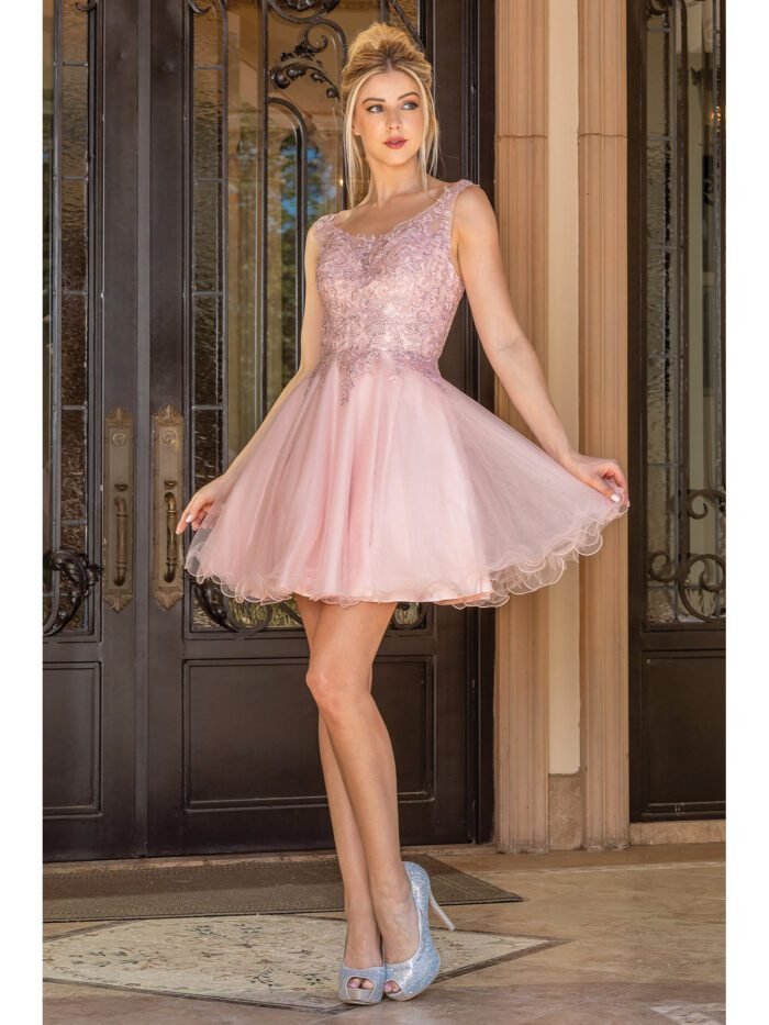 Meadowlark Lace Tulle Dress in blush