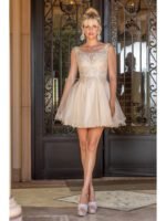Meadowlark Lace Tulle Dress in champagne
