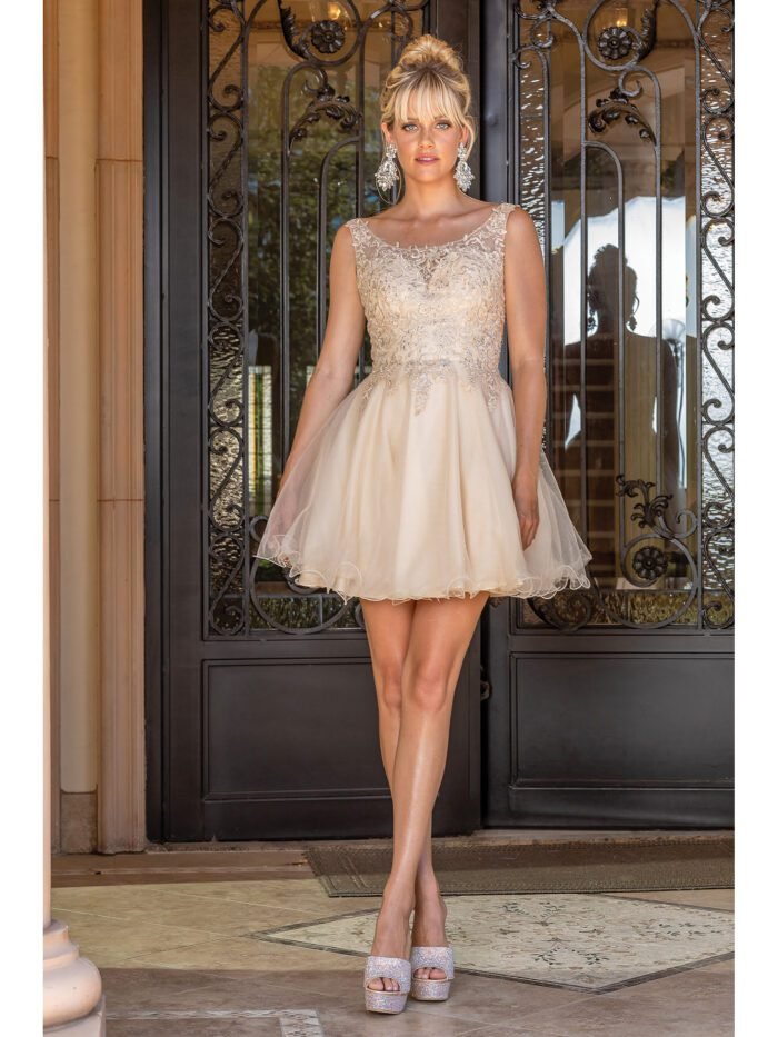 Meadowlark Lace Tulle Dress in champagne