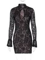Lace Cutout Long Sleeve Mini Dress - Image 5