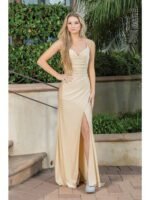 Canyon Sunset Ruched Evening Gown in champagne