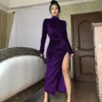 Women's High Neck Long Velvet Dress with Pleats and Slit Fitted SilhouetteAutumn/Winter Fashion - Image 2