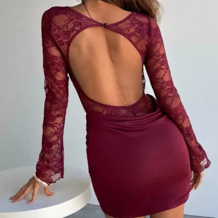 Lace Sheer Cutout Back Long Sleeve Ruched Dress